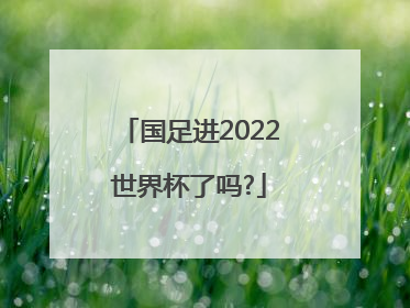 国足进2022世界杯了吗?