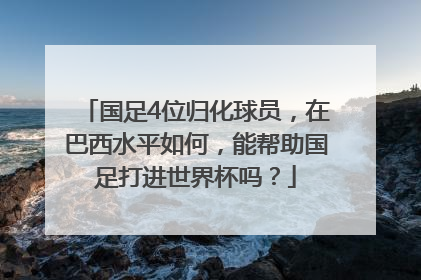 国足4位归化球员，在巴西水平如何，能帮助国足打进世界杯吗？