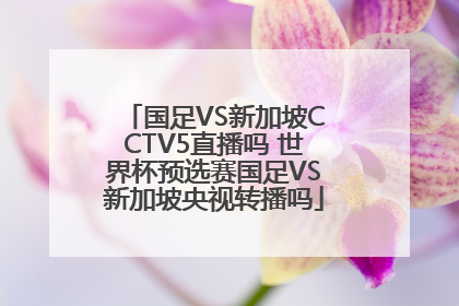 国足VS新加坡CCTV5直播吗 世界杯预选赛国足VS新加坡央视转播吗