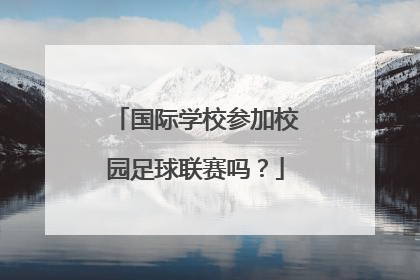 国际学校参加校园足球联赛吗？