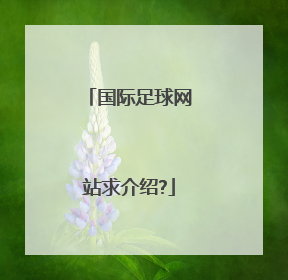 国际足球网站求介绍?