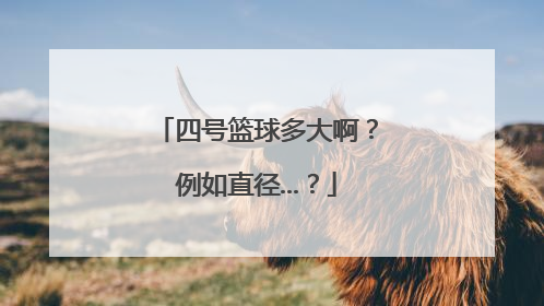 四号篮球多大啊？例如直径...？