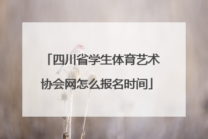 四川省学生体育艺术协会网怎么报名时间