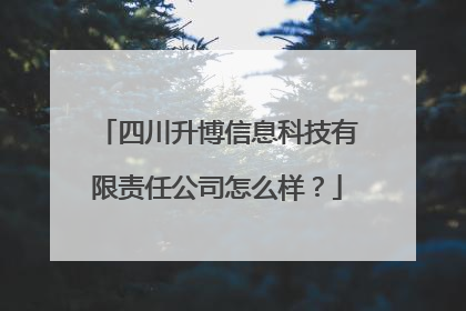 四川升博信息科技有限责任公司怎么样？