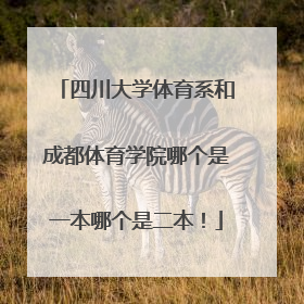 四川大学体育系和成都体育学院哪个是一本哪个是二本！