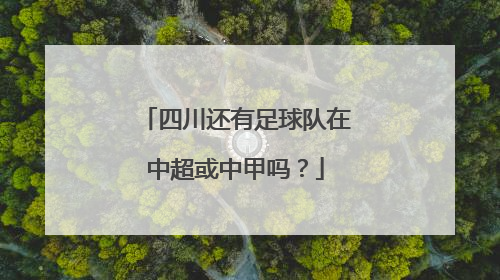 四川还有足球队在中超或中甲吗？