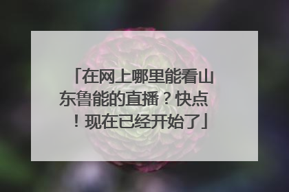 在网上哪里能看山东鲁能的直播？快点！现在已经开始了