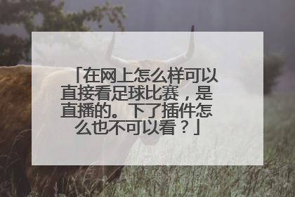 在网上怎么样可以直接看足球比赛，是直播的。下了插件怎么也不可以看？