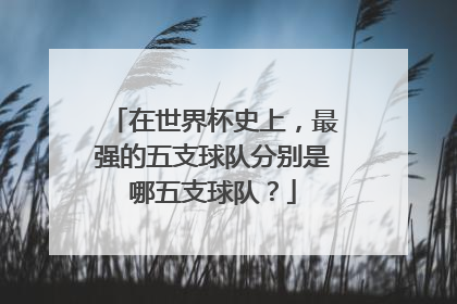 在世界杯史上，最强的五支球队分别是哪五支球队？