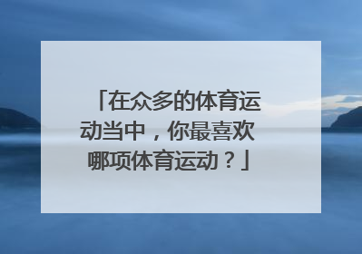 在众多的体育运动当中，你最喜欢哪项体育运动？