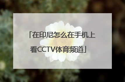 在印尼怎么在手机上看CCTV体育频道