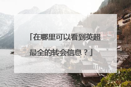 在哪里可以看到英超最全的转会信息？