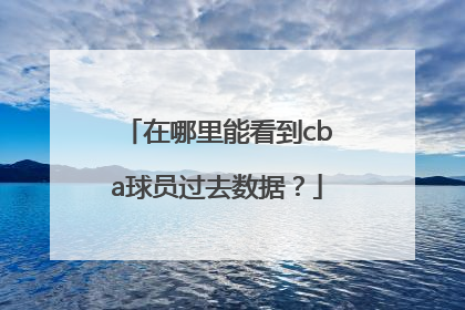 在哪里能看到cba球员过去数据？