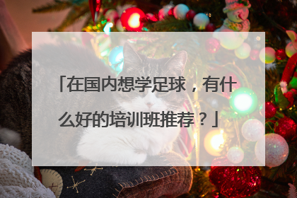 在国内想学足球，有什么好的培训班推荐？