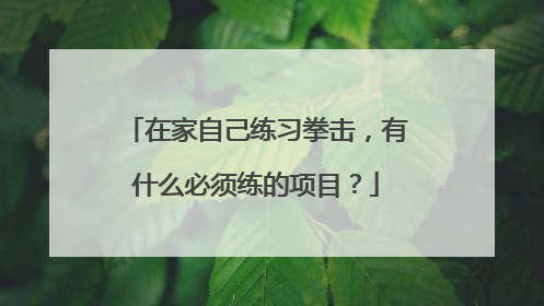 在家自己练习拳击，有什么必须练的项目？