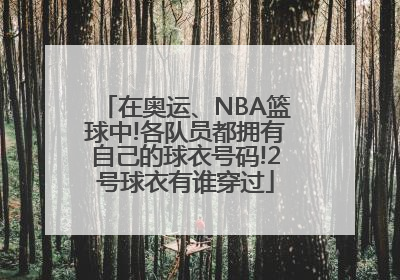 在奥运、NBA篮球中!各队员都拥有自己的球衣号码!2号球衣有谁穿过