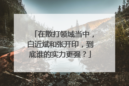 在散打领域当中，白近斌和张开印，到底谁的实力更强？