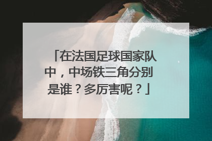 在法国足球国家队中，中场铁三角分别是谁？多厉害呢？