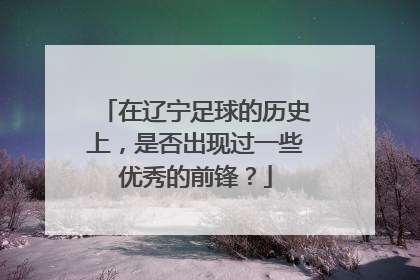 在辽宁足球的历史上，是否出现过一些优秀的前锋？