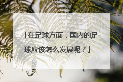 在足球方面，国内的足球应该怎么发展呢？