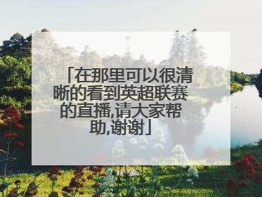 在那里可以很清晰的看到英超联赛的直播,请大家帮助,谢谢