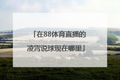 在88体育直播的凌霄说球现在哪里