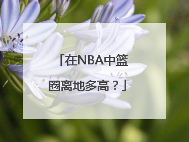 在NBA中篮圈离地多高？