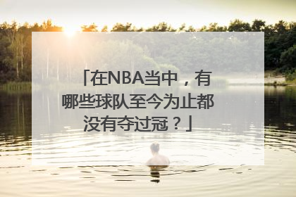 在NBA当中，有哪些球队至今为止都没有夺过冠？