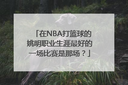 在NBA打篮球的姚明职业生涯最好的一场比赛是那场？