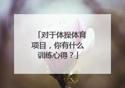 对于体操体育项目，你有什么训练心得？