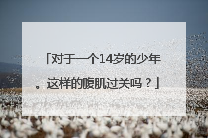 对于一个14岁的少年。这样的腹肌过关吗？