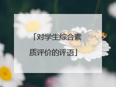 对学生综合素质评价的评语