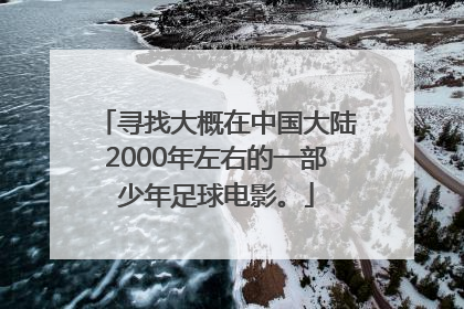 寻找大概在中国大陆2000年左右的一部少年足球电影。