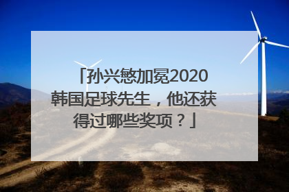 孙兴慜加冕2020韩国足球先生，他还获得过哪些奖项？