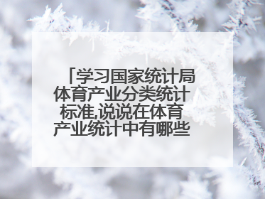 学习国家统计局体育产业分类统计标准,说说在体育产业统计中有哪些数据应注意？