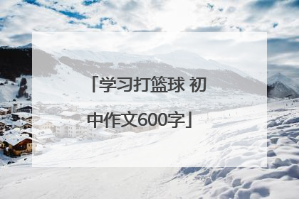 学习打篮球 初中作文600字