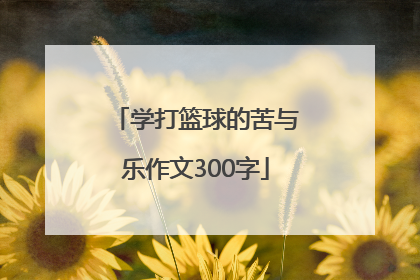 学打篮球的苦与乐作文300字