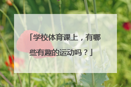 学校体育课上，有哪些有趣的运动吗？