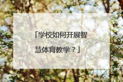 学校如何开展智慧体育教学？