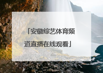 「安徽综艺体育频道直播在线观看」看安徽综艺体育频道来吧掼军直播