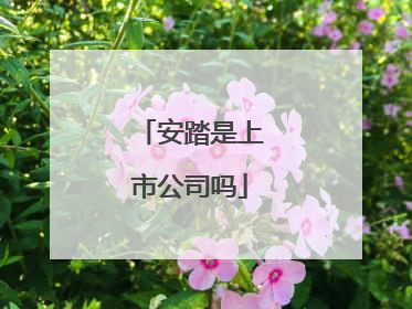 安踏是上市公司吗