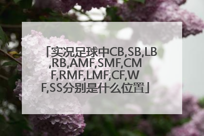 实况足球中CB,SB,LB,RB,AMF,SMF,CMF,RMF,LMF,CF,WF,SS分别是什么位置