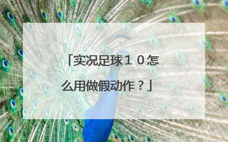 实况足球１０怎么用做假动作？