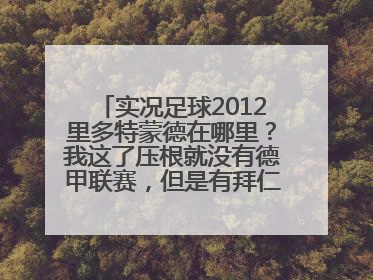 实况足球2012里多特蒙德在哪里？我这了压根就没有德甲联赛，但是有拜仁。。。。