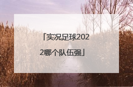 实况足球2022哪个队伍强