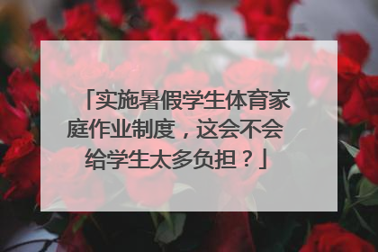 实施暑假学生体育家庭作业制度，这会不会给学生太多负担？