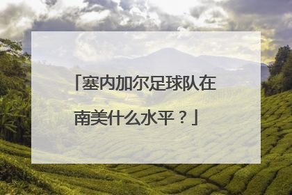 塞内加尔足球队在南美什么水平？