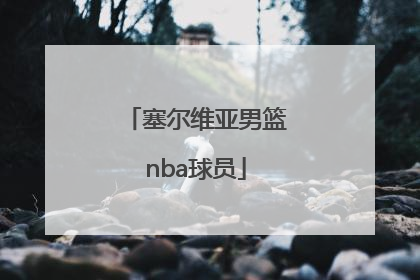 「塞尔维亚男篮nba球员」NBA塞尔维亚籍球员