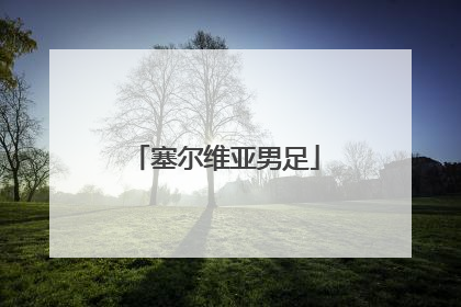 「塞尔维亚男足」塞尔维亚男足主力阵容