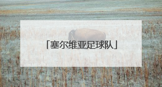 「塞尔维亚足球队」塞尔维亚足球队球衣